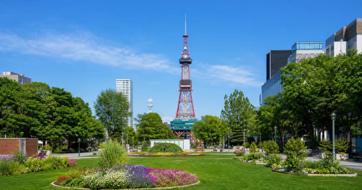 札幌大通公園夏季綠地與電視塔的寫實照片