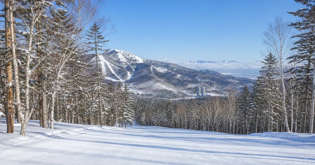 星野 Tomamu 空雪道、森林與山景的寫實照片